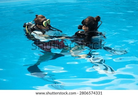 A professional diver and a novice practice diving in a pool.