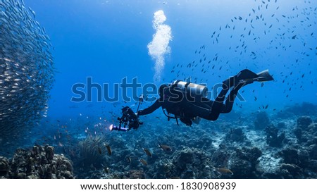Professional diver / underwater photographer and Bait ball / school of fish in turquoise water of coral reef in Caribbean Sea / Curacao