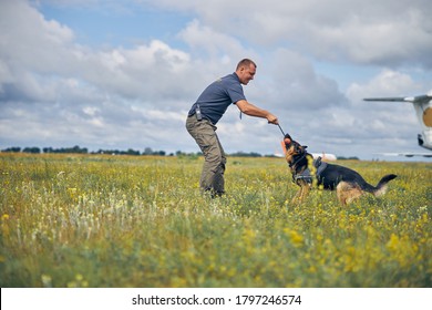 Professional Dog Trainer Playing With German Shepherd Dog In Airfield With Beautiful Sky On Background