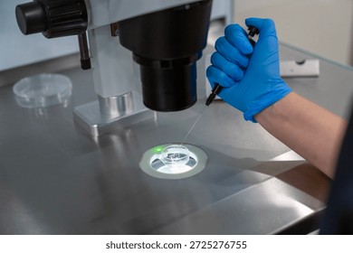 Professional embryologist using microscope for ICSI IVF procedure, microinjection of sperm into female egg cell in fertility clinic laboratory for assisted reproduction, human artificial insemination.