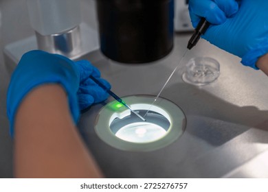 Professional embryologist using microscope for ICSI IVF procedure, microinjection of sperm into female egg cell in fertility clinic laboratory for assisted reproduction, human artificial insemination.
