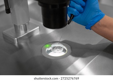 Professional embryologist using microscope for ICSI IVF procedure, microinjection of sperm into female egg cell in fertility clinic laboratory for assisted reproduction, human artificial insemination.
