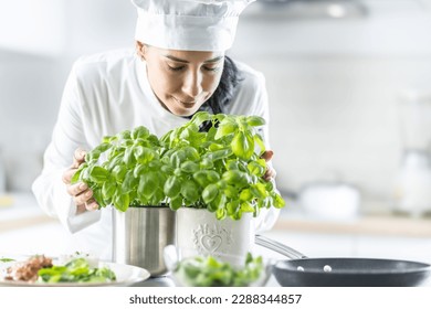 Professional female chef in white hat closes her eyes as she smells fresh basil in pots in front of her. - Powered by Shutterstock