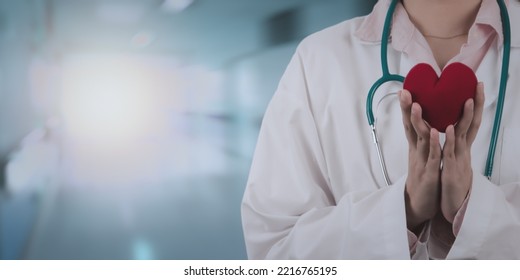 Professional Female Doctor Holding Mini Heart Pillow With Her Stethoscope In Hospital Ward Background, Medical Specialists Prepare The Diagnosis For Sick Person, Medical And Healthcare Concept