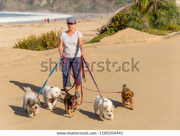 female dog walker