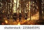 Professional Firefighters Crew Walking in Forest, Controlling a Wildland Fire Before it Becomes a Catastrophic Event. First Responders Arrive at the Abandoned Outdoors Site with Overgrown Campfire.