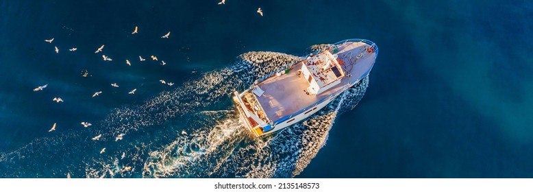 professional fisherboat with many seagulls come back in the harbor. Aerial view, drone BANNER, LONG FORMAT