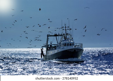 professional fisherboat with many seagulls come back in the harbor