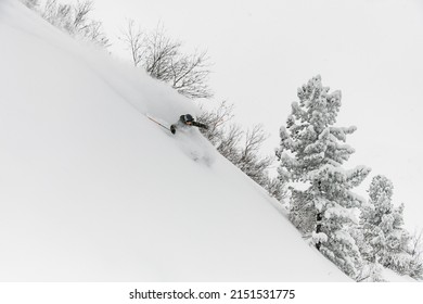 professional freerider skier descends a steep snowy mountain slope and splashes of fresh powder snow around him