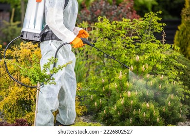 Professional Gardener in Safety Uniform Spraying Pesticides on Plants Using Pump Sprayer. Gardening Theme. - Shutterstock ID 2226802527
