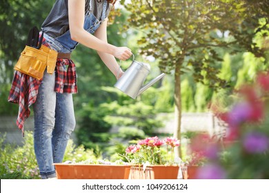 Professional Gardener Showing Her Clients How Stock Photo (Edit Now ...