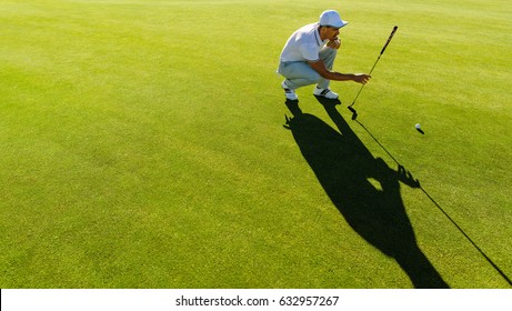 Professional Golfer Check Line For Putting Golf Ball On Green Grass. Golf Player Crouching And Study The Green Before Putting Shot