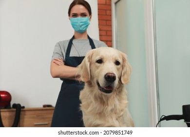 Professional Groomer With Cute Dog In Pet Beauty Salon