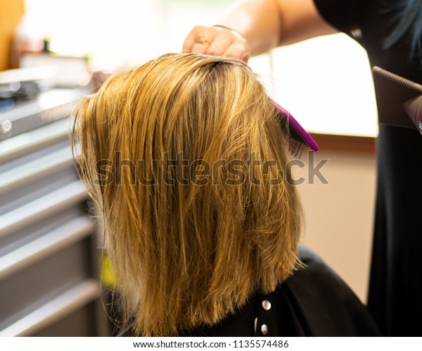 Professional Hair Stylist Cutting Hair Female Stock Photo Edit