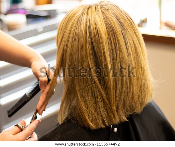 Professional Hair Stylist Cutting Hair Female Stock Photo Edit