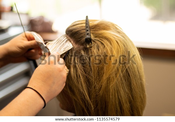 Professional Hair Stylist Cutting Hair Female Stock Photo Edit