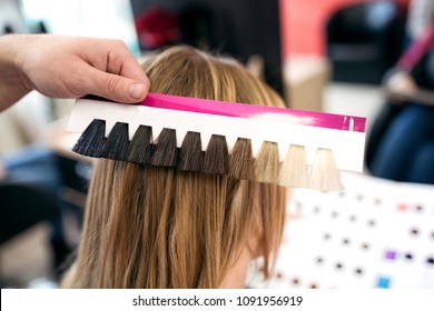 Professional Hairdresser Choose Hair Dye Color At Salon Close Up