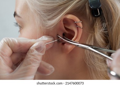 Professional holding the jewel of piercing day just before screw the ball. Tragus type.