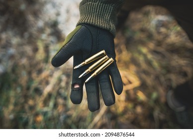 Professional hunter holding a ammunition. Hand with green gloves holding ammunition to the hunting rifle. 