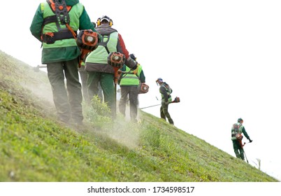 Professional Landscapers Team Workers Cutting Grown Green Grass On Inclined Slope With Petrol String Trimmers. Lawn Care With Brush Cutters