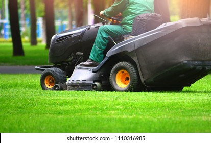 Professional Lawn Mower Cuts The Grass