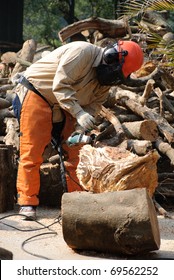 Professional lumberjack at work in the forest