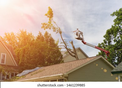 Professional Lumberjacks Cuts. Tree Falls On A Home In A Multifamily Housing Development After Strong Storm. A Storm Causes A White Oak Tree To Fall And Rip Through The Roof Of A House.Tree Surgeon. 