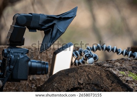 Professional Macro Photography Setup: Camera, Flash and Lighting Gear on Log for Nature Shoot