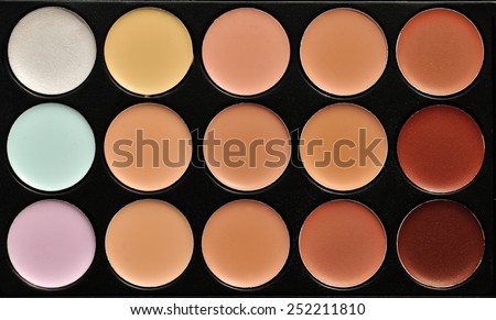 a professional make up palette - the concealers