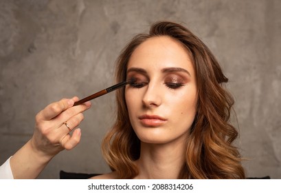 A Professional Makes Eye Makeup For A Brunette Girl On A Gray Background With A Place For Text. Makeup Trends