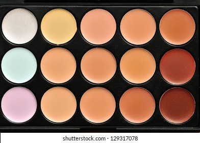 Professional makeup palette