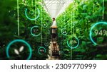 Professional Male Bioengineer Examining Crops on Modern Vertical Farm. Man With Tablet Computer Grows Organic Food or Plants In High-Tech Greenhouse. VFX Infographics Edit Showing Data.