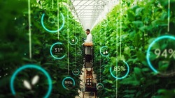 Professional Male Bioengineer Examining Crops On Modern Vertical Farm. Man With Tablet Computer Grows Organic Food Or Plants In High-Tech Greenhouse. VFX Infographics Edit Showing Data.
