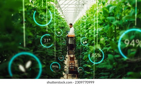 Professional Male Bioengineer Examining Crops on Modern Vertical Farm. Man With Tablet Computer Grows Organic Food or Plants In High-Tech Greenhouse. VFX Infographics Edit Showing Data. - Shutterstock ID 2309770999