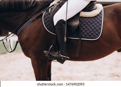 Professional Male Equestrian Rider Saddle Up Horse For Dressage On Training Or Competition - Unrecognizable Closeup, Focus On Boots In Stirrup. Concept Of Animal Loving And Having Hobby