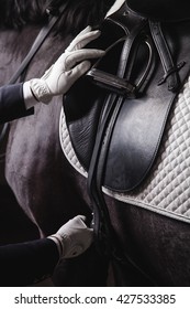 Professional male equestrian rider saddle up horse for dressage on training or competition - Unrecognizable closeup, focus on hands, saddle and stirrup. Concept of animal loving and having hobby