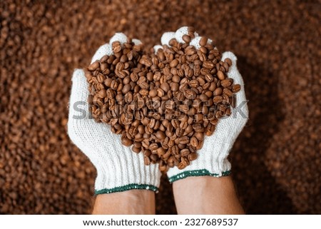 Professional male and female coffee roasters working with modern automated roasting machine in the coffee roasting factory. Coffee roasters checking or inspecting the roasting quality of coffee bean.