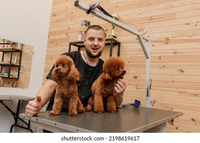 Professional Male Groomer With Poodle Teacup Dog On His Workplace In Grooming Salon For Pet