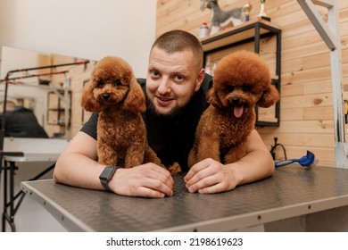 Professional Male Groomer With Poodle Teacup Dog On His Workplace In Grooming Salon For Pet