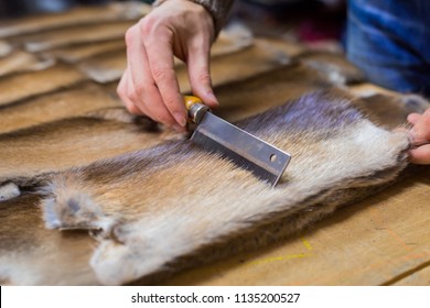 Professional Male Skinner, Furrier Working With Mink Fur Skin At Atelier, Workshop. Fashion And Leatherwork Concept