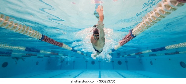 Professional man swimmer inside swimming pool. Underwater panoramic image. - Powered by Shutterstock