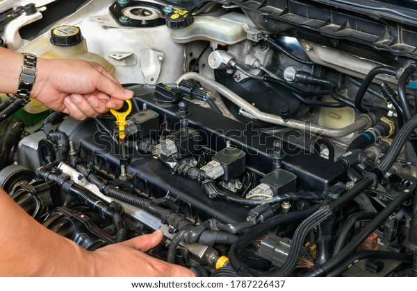 A professional mechanic is holding\
the oil dipstick check the oil level in car\
engine