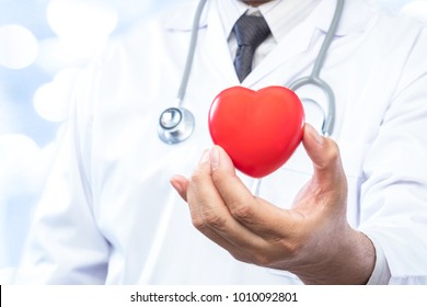 Professional Medical Doctor Holding A Red Heart Ball On Blur Office In The Hospital And Bokeh Background. Concept Of Health Care.