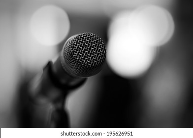 Professional microphone - black and white