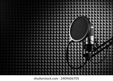 Professional microphone on the black sound proof panel background. Recording studio, copy space.