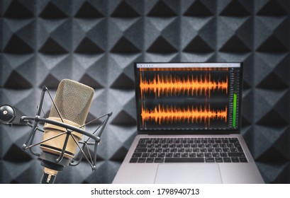 Professional Microphone And Wave Form On The Screen