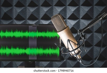 Professional Microphone And Wave Form On The Screen