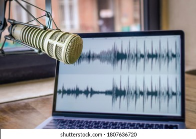 Professional Microphone And Wave Form On The Screen