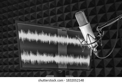 Professional Microphone And Wave Form On The Screen