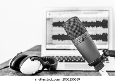 Professional Microphone And Wave Form On The Screen